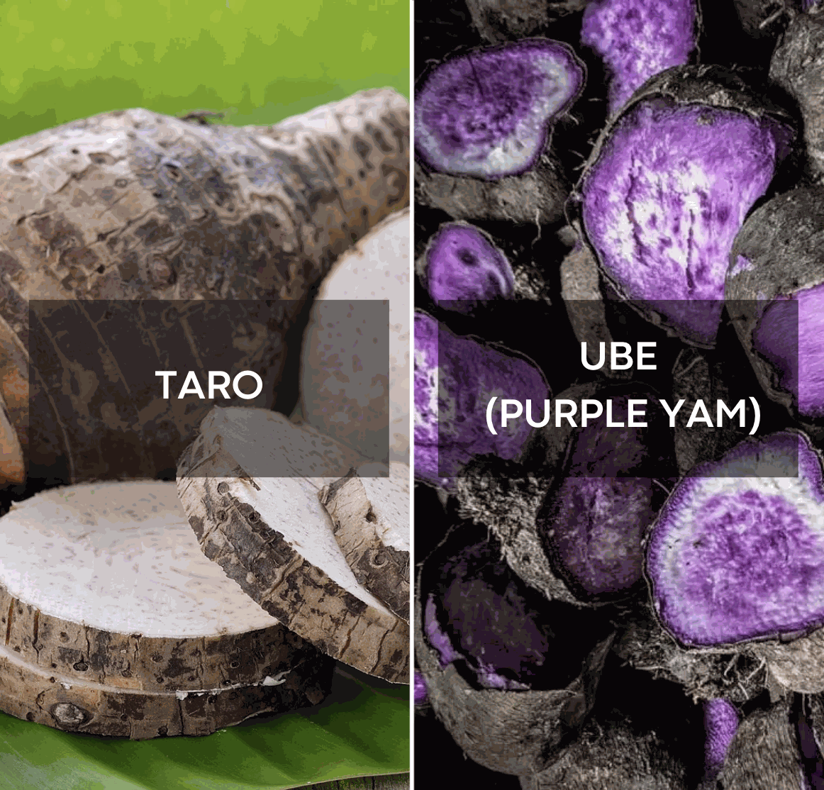 Ube vs. Taro: Mikä on todellinen ero?