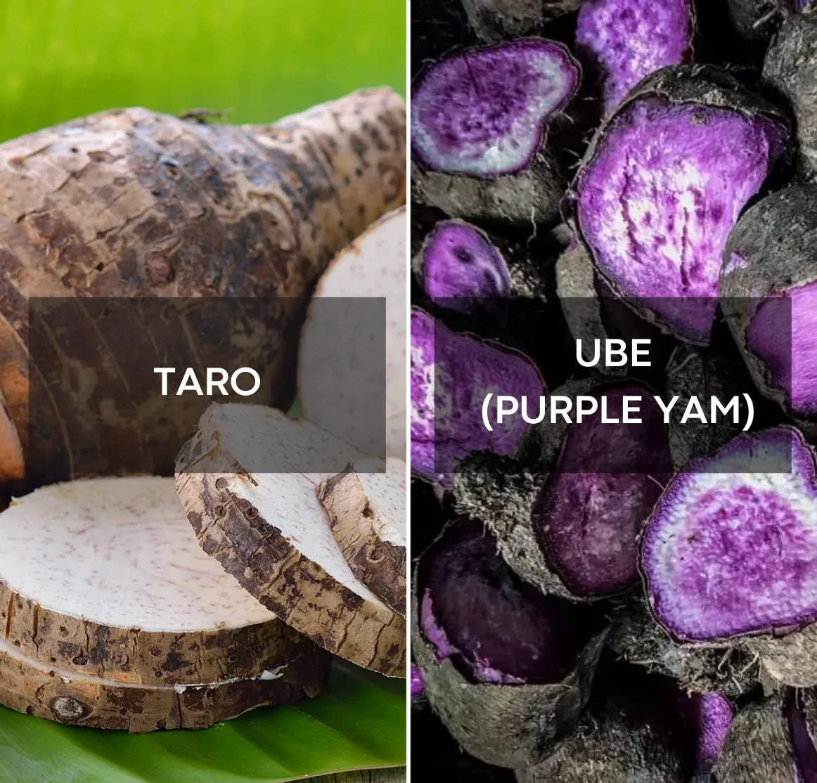 Ube vs taro -vertailu: violetti ube-jauhe | Ube Nolia